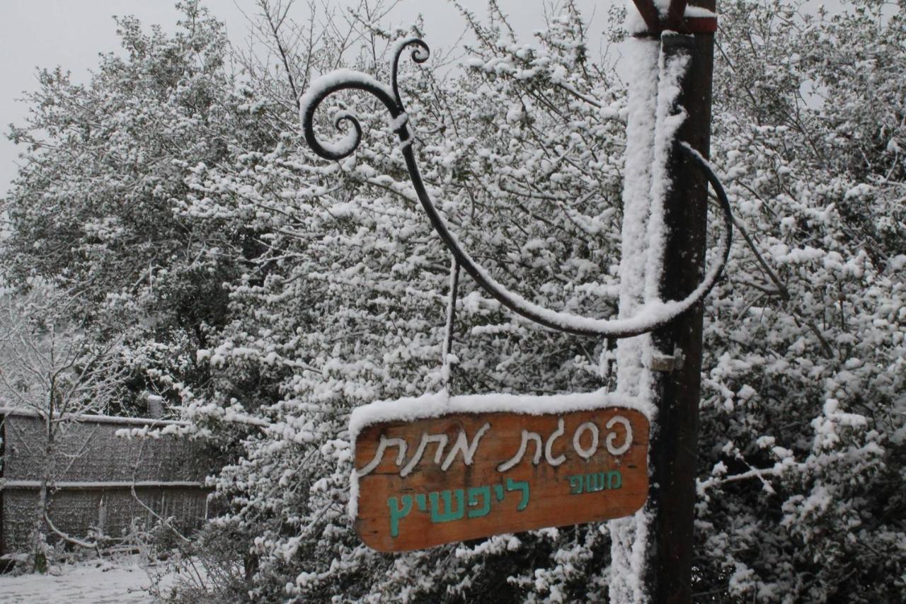 הוילה פסגת מתת Pisgat מתת מראה חיצוני תמונה