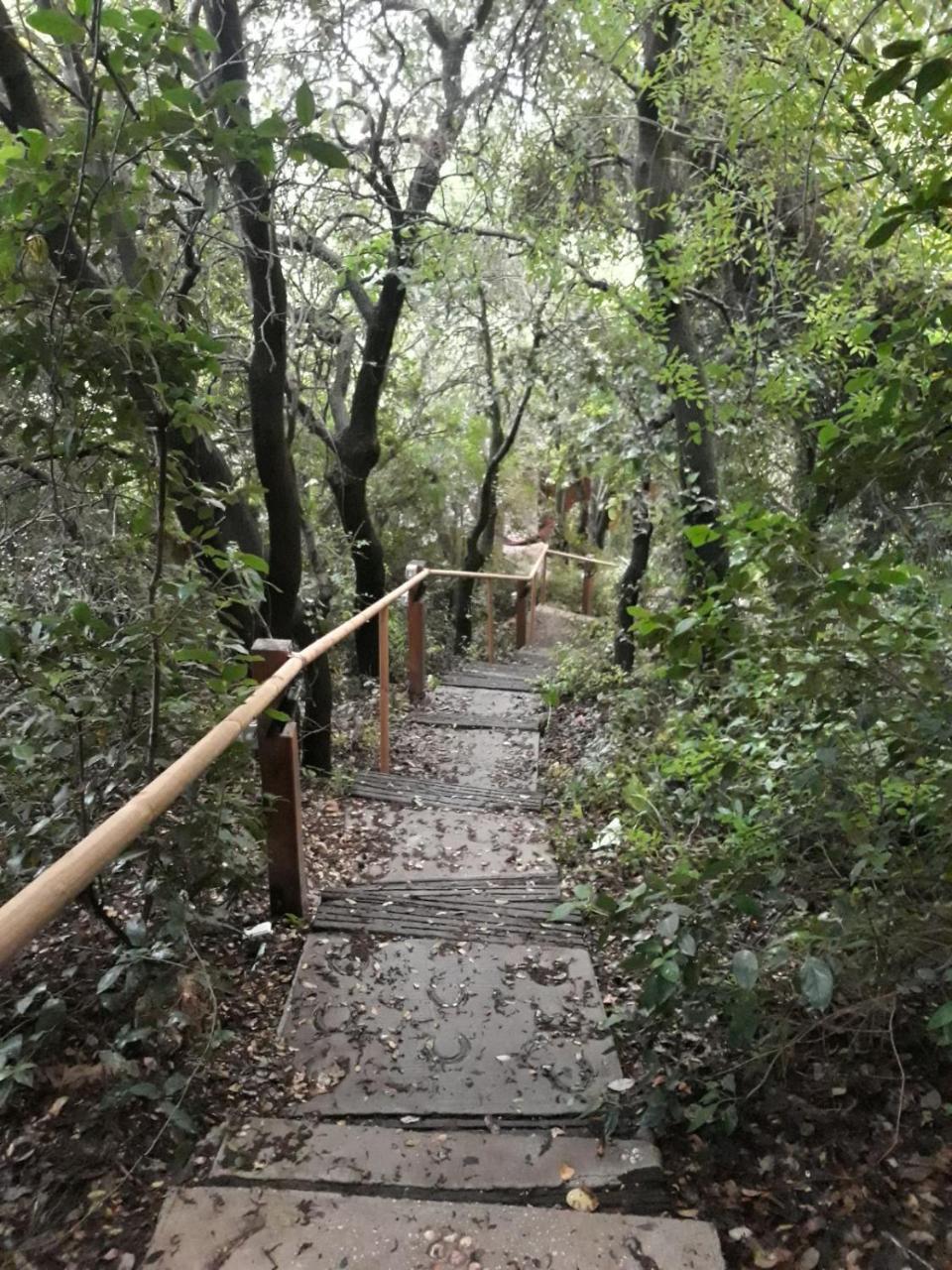 הוילה פסגת מתת Pisgat מתת מראה חיצוני תמונה